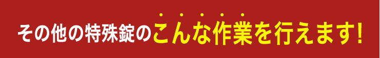 その他の特殊錠のこんな作業を行えます